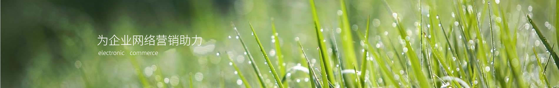 ൺеҵ޹˾